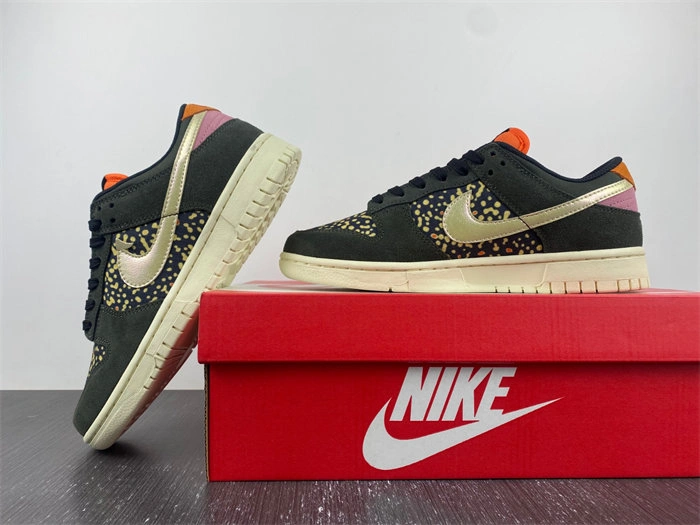 MaikeSneakers ZipUp Nike Dunk Low Rainbow Trout FH7523 4664