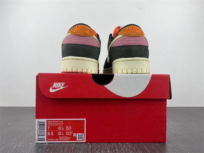 MaikeSneakers ZipUp Nike Dunk Low Rainbow Trout FH7523 4664