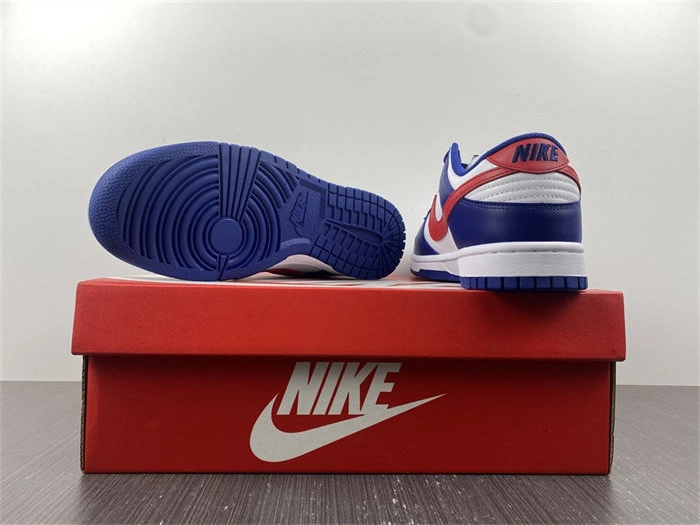 Rep Original Nike Dunk Low USA DD1503- 4799