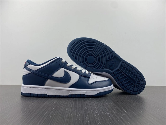 Tony Luxuries Nike Dunk Low Valerian Blue DD1391- Practical 4819