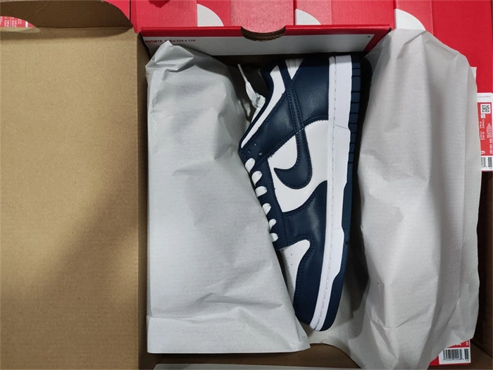 Tony Luxuries Nike Dunk Low Valerian Blue DD1391- Practical 4819
