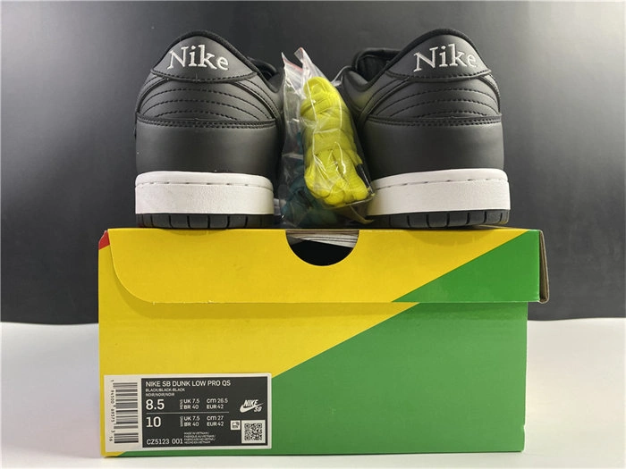 HYPE Nike SB Dunk Low Civilist CZ5123- Efficient 4880