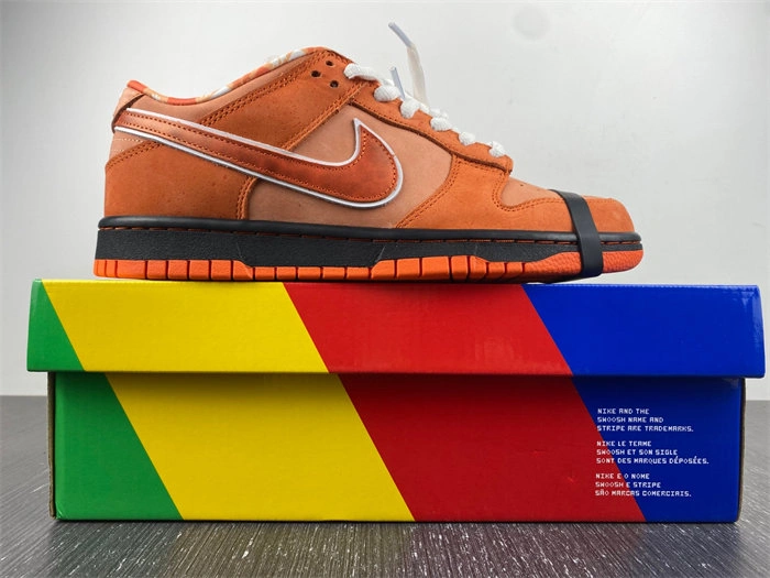 Affordable Hot Nike SB Dunk Low Concepts Orange Lobster FD8776- Practical 4550