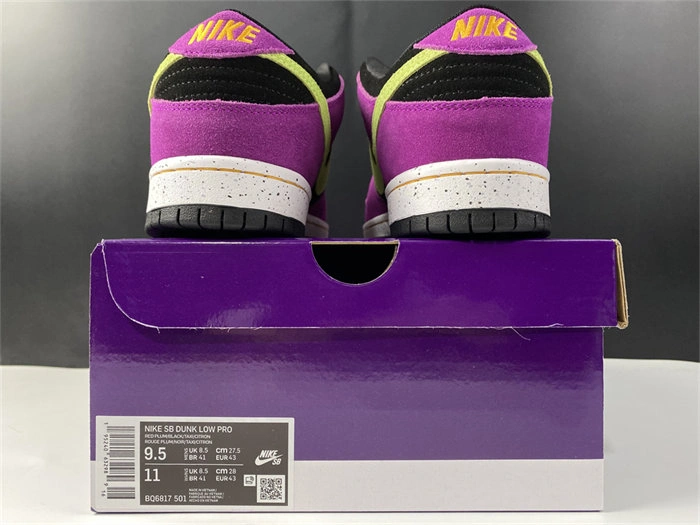 Tony Luxuries Nike SB Dunk Low Pro ACG Terra Red Plum BQ6817- TravelReady 4905