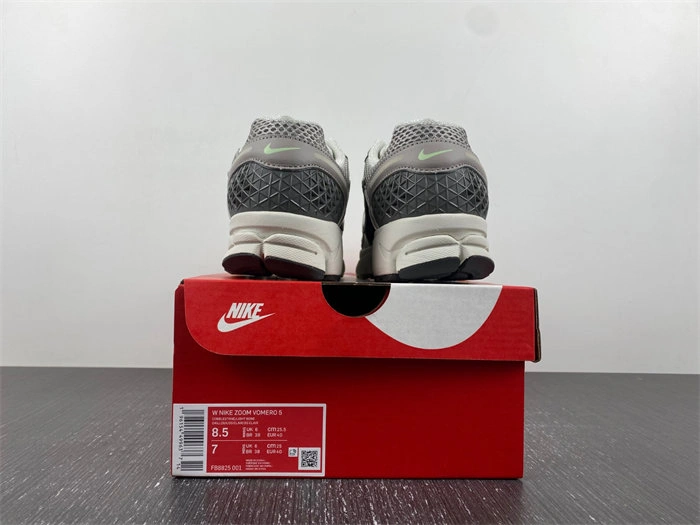 Cheap Husky Sustainable Nike Zoom Vomero 5 Cobblestone Flat Pewter FB8825- 5300