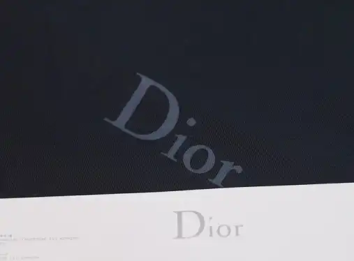 DIOR B23 Oblique Sneaker