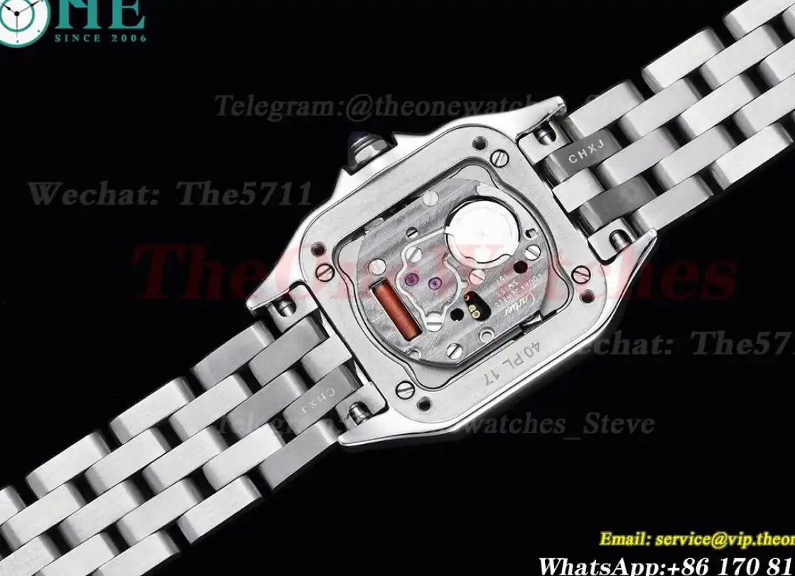 Panthere Secrete De Ladies 22mm SS SS White 8848F Swiss Qtz