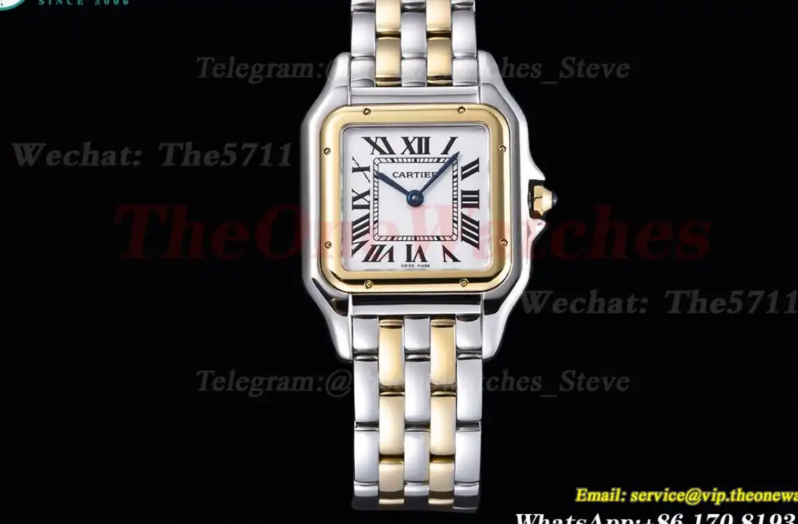 Panthere Secrete De Ladies 27mm YG SS White Dial 8848F Swiss Qtz