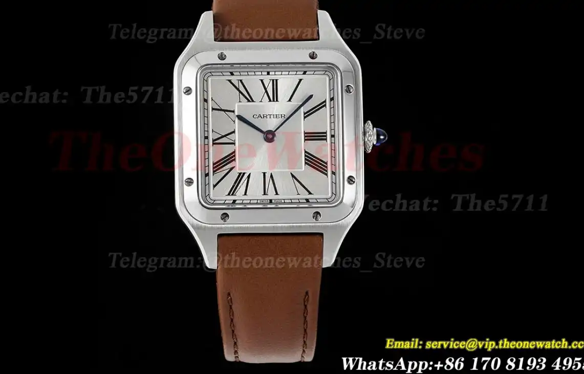 Santos Dumont Brown SS LE Silver Dial AF Quartz