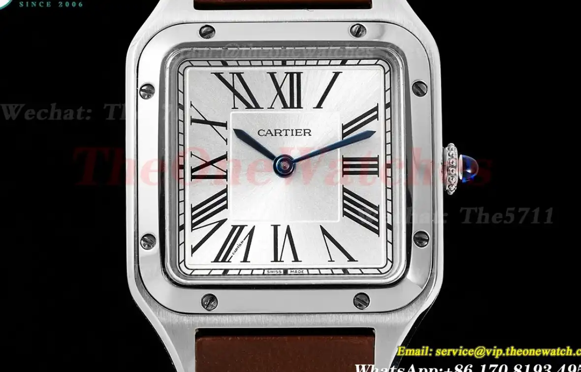 Santos Dumont Brown SS LE Silver Dial AF Quartz