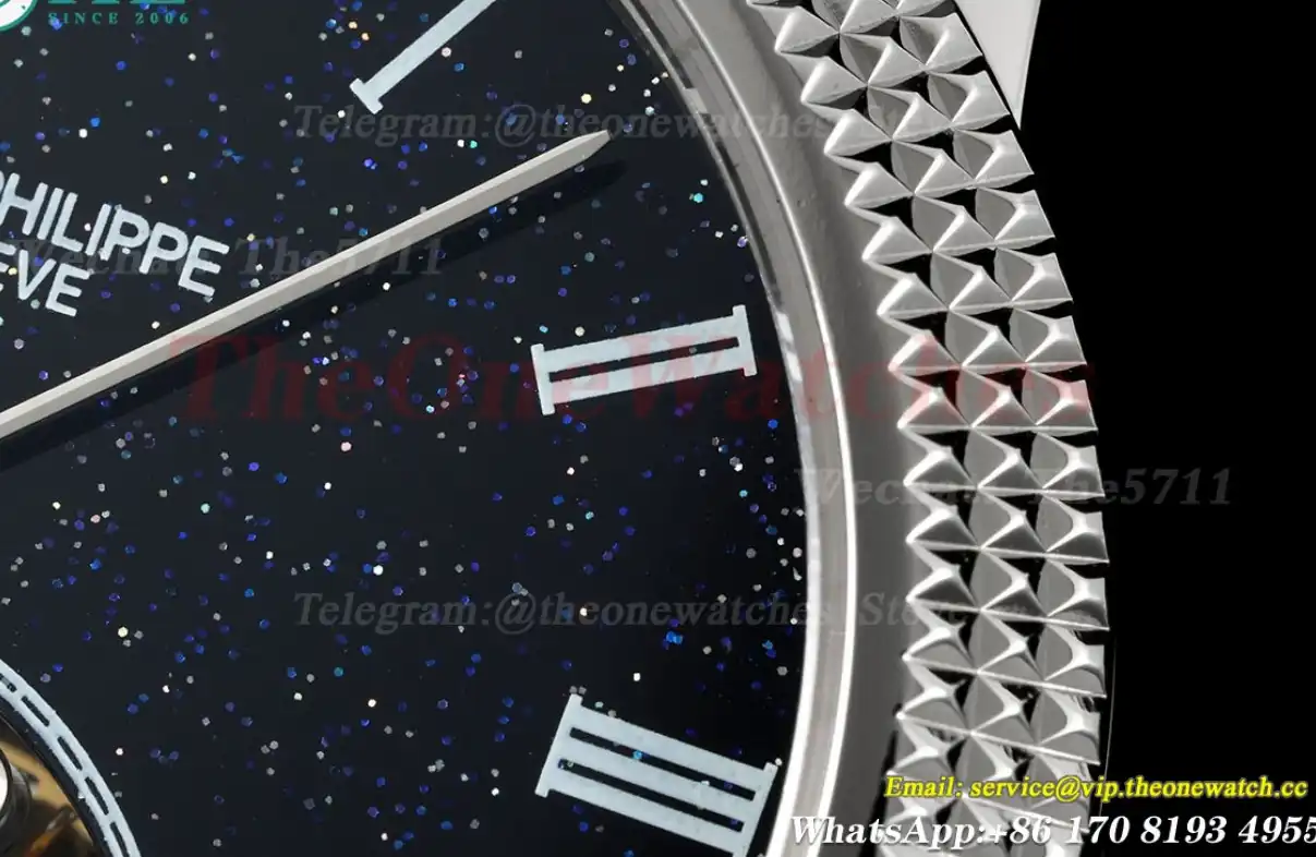 Complications 42mm SS LE Starry Sky Dial RMSF Tourb