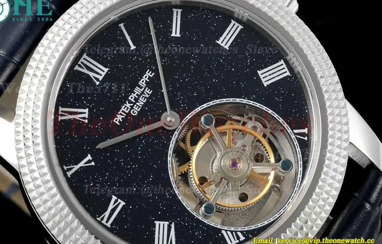 Complications 42mm SS LE Starry Sky Dial RMSF Tourb