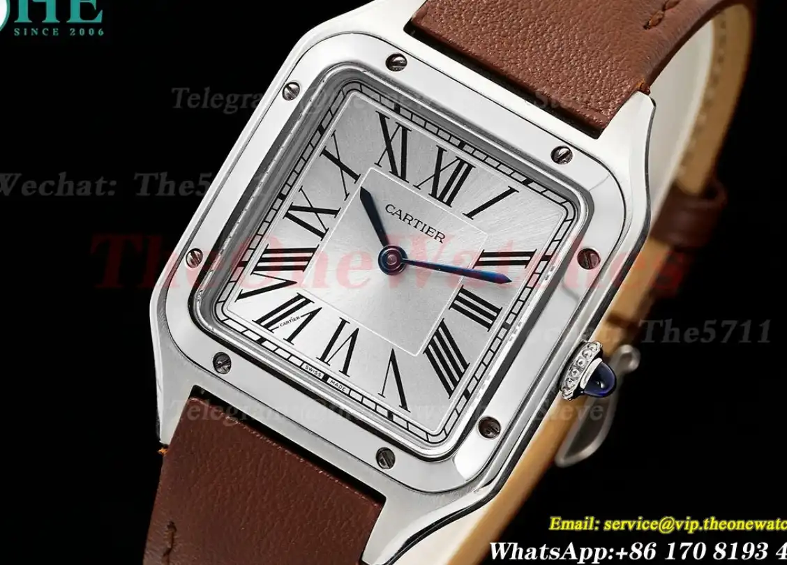 Santos Dumont Brown SS LE Silver Dial AF Quartz