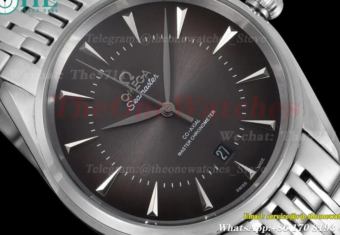 Seamaster 41mm SS SS Grey Dial GDF MY8215