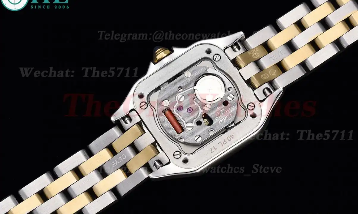 Panthere Secrete De Ladies 22mm YG SS White Dial 8848F Swiss Qtz