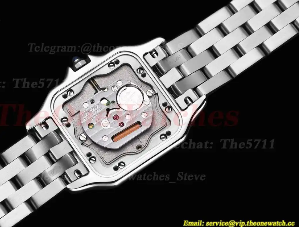 Panthere Secrete De Ladies 27mm SS SS White 8848F Swiss Qtz