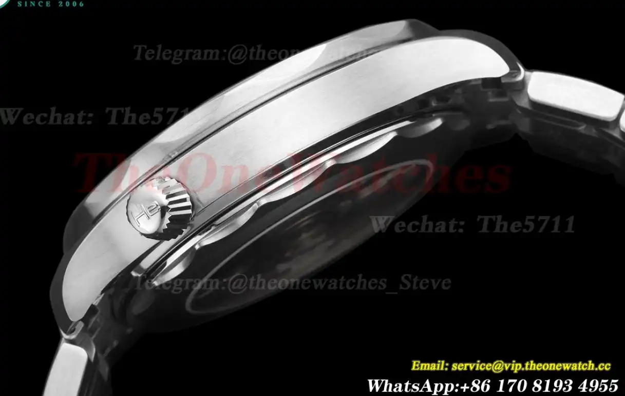 Seamaster 300m 42mm SS SS Black Dial T+F A8800