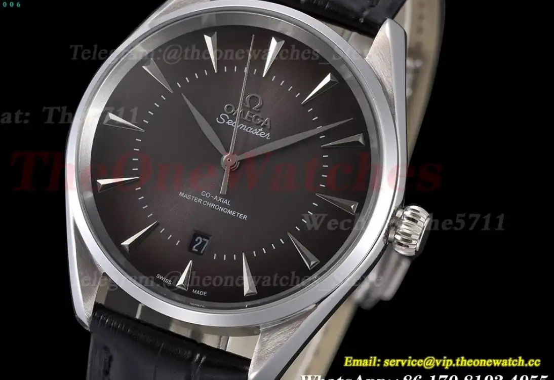 Seamaster 41mm SS LE Grey Dial GDF MY8215