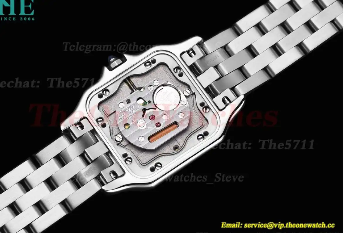 Panthere Secrete De Ladies 27mm Dia SS SS White Dial 8848F Swiss Qtz