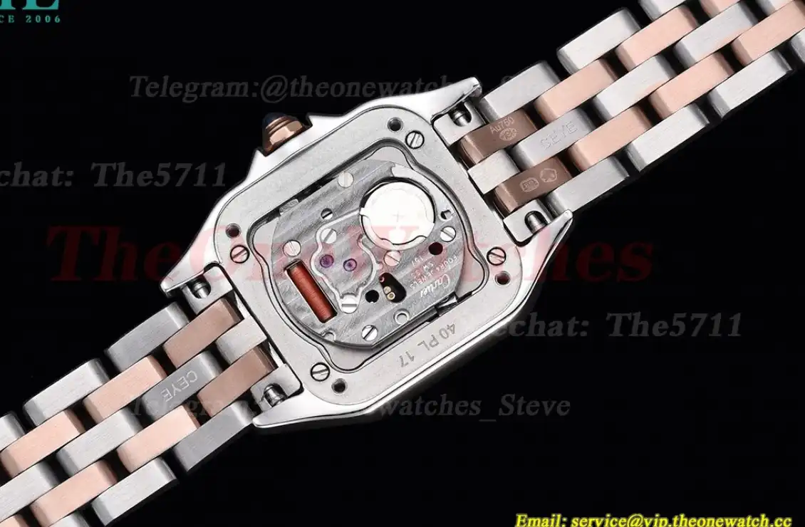 Panthere Secrete De Ladies 22mm RG SS White Dial 8848F Swiss Qtz