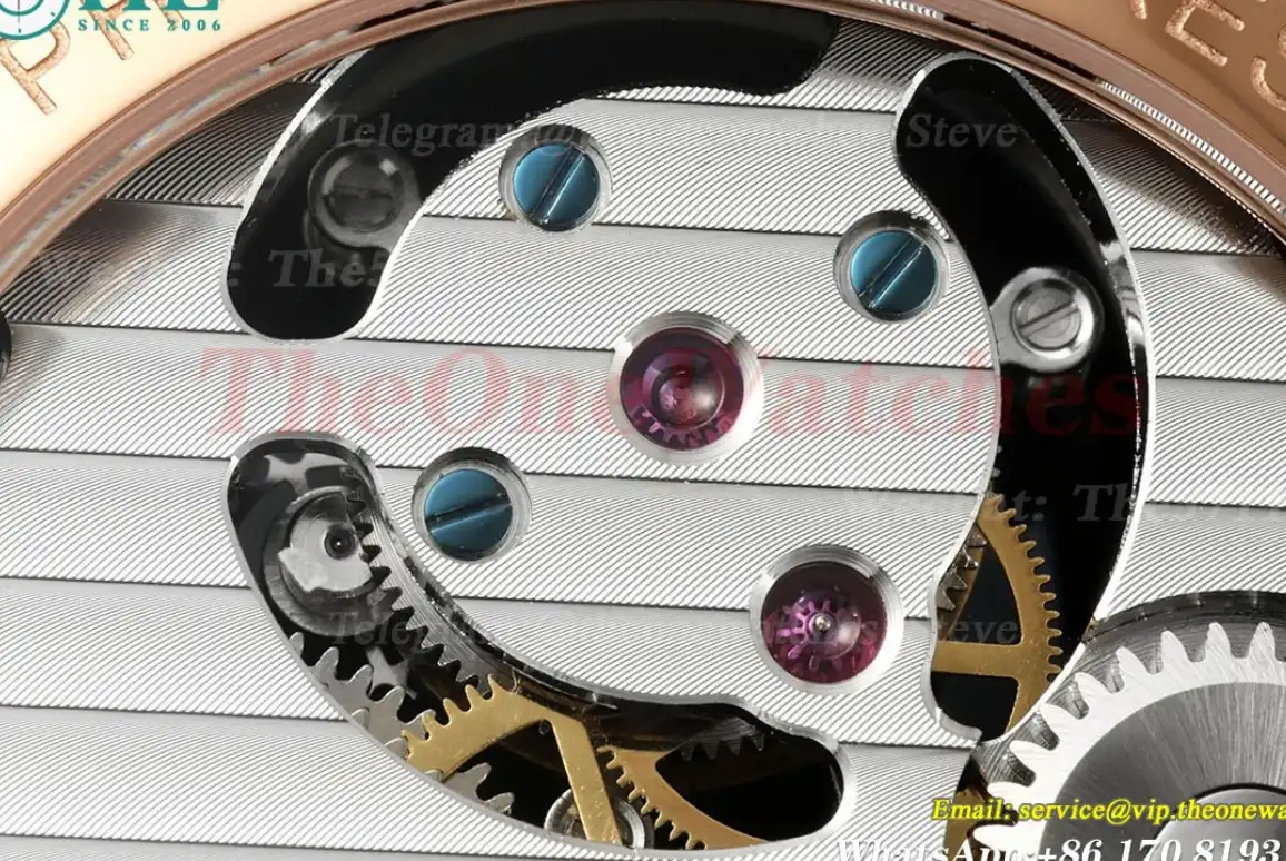 Complications 42mm Dia RG LE Starry Sky Dial RMSF Tourb