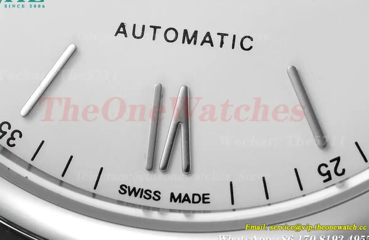 Portofino 40mm SS LE White Dial GDF MY8215