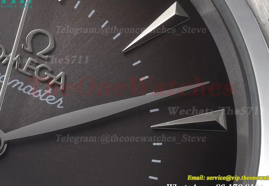 Seamaster 41mm SS SS Grey Dial GDF MY8215