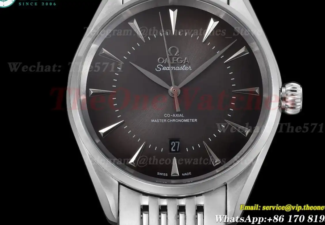 Seamaster 41mm SS SS Grey Dial GDF MY8215