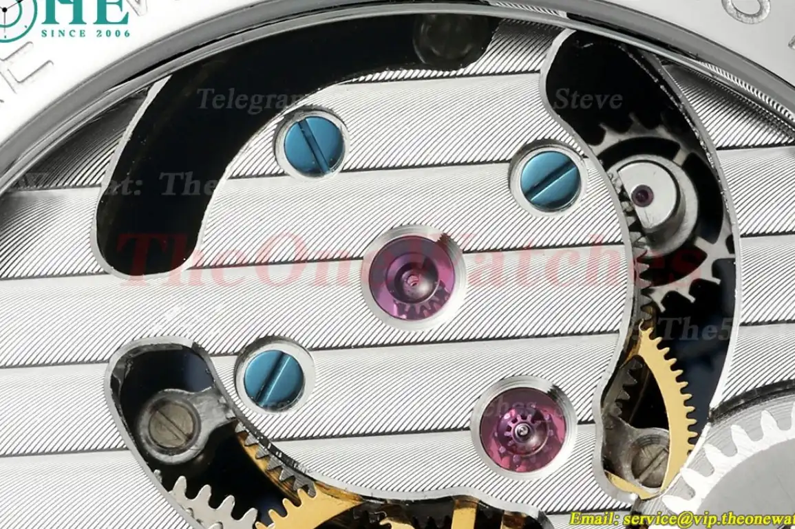 Complications 42mm Gem SS LE Starry Sky Dial RMSF Tourb