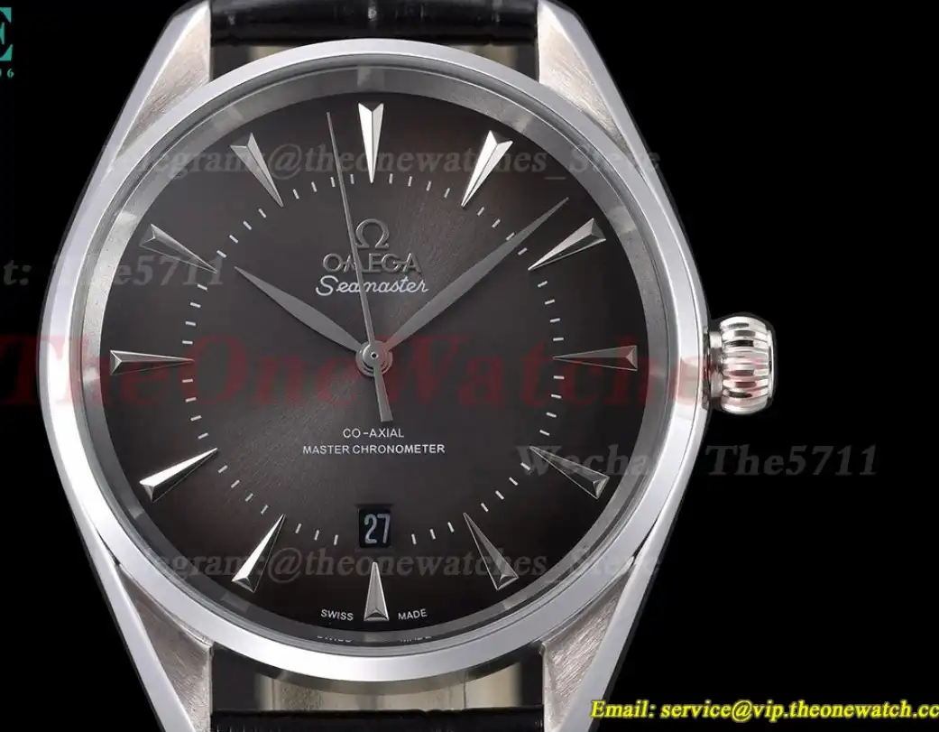 Seamaster 41mm SS LE Grey Dial GDF MY8215