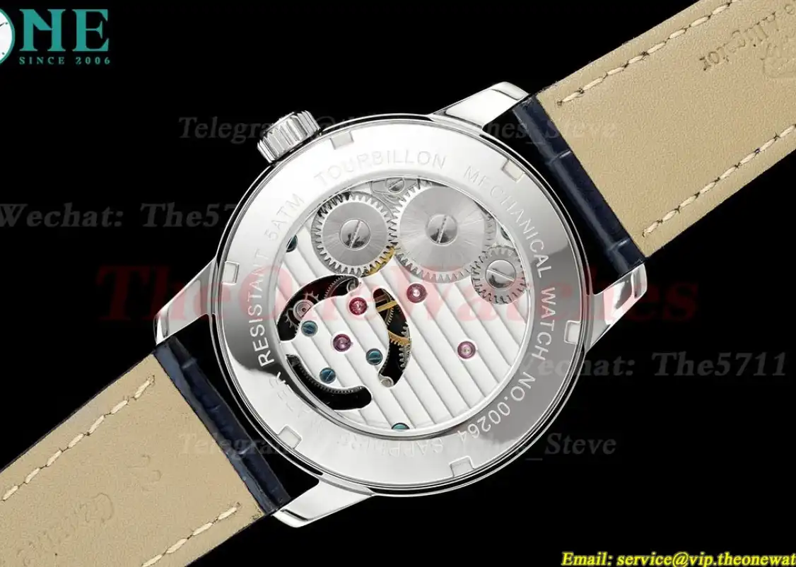 Complications 42mm Dia SS LE Starry Sky Dial RMSF Tourb