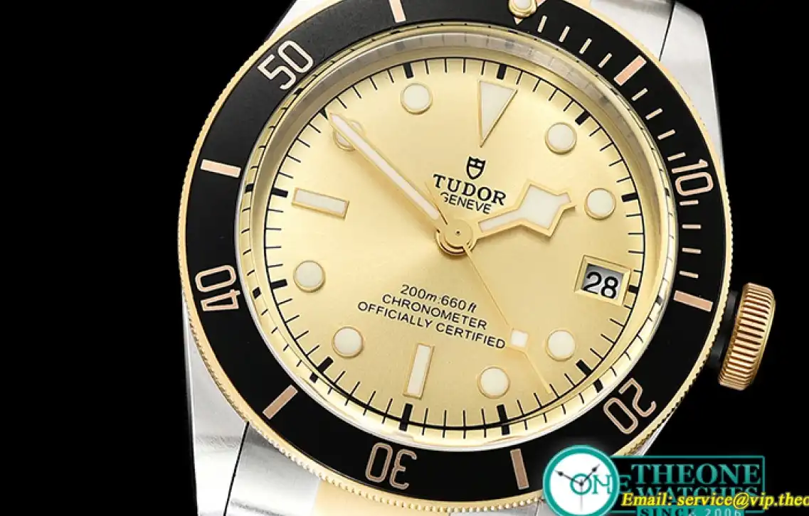 Tudor - Heritage 2017 Black Bay YG SS Gold ZF Asia 2824