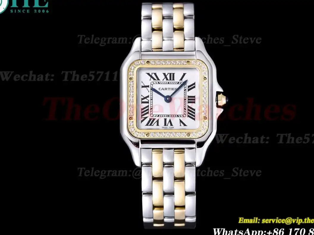 Panthere Secrete De Ladies 27mm Dia YG SS White Dial 8848F Swiss Qtz