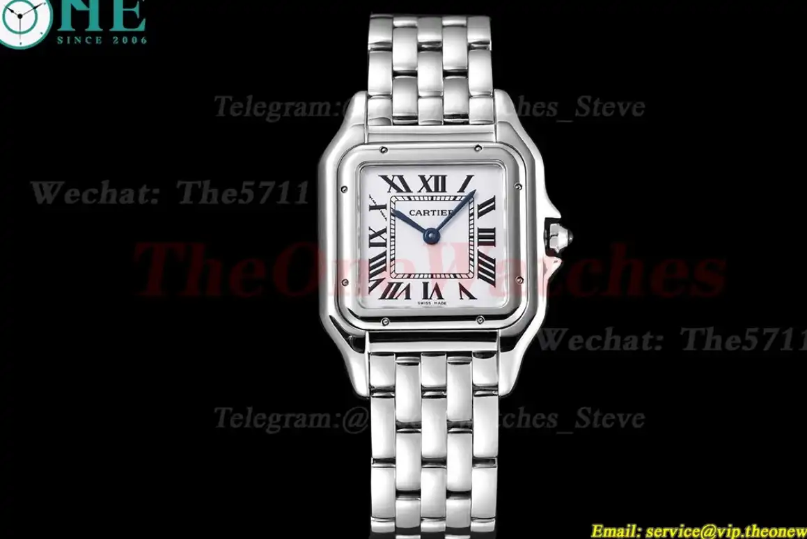 Panthere Secrete De Ladies 27mm SS SS White 8848F Swiss Qtz