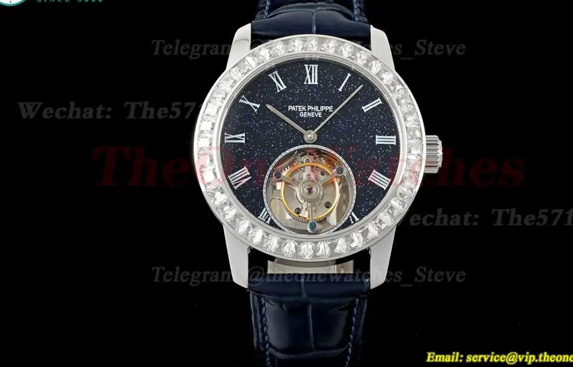 Complications 42mm Dia SS LE Starry Sky Dial RMSF Tourb