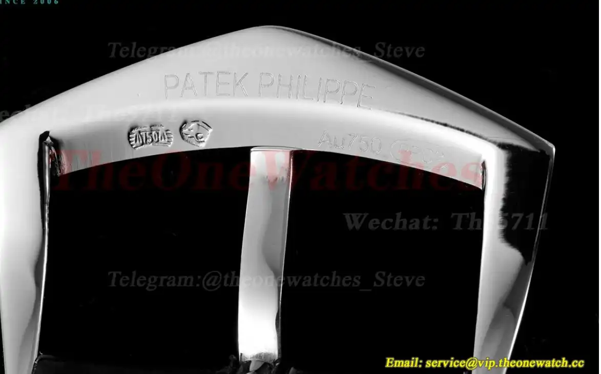 Calatrava 38mm SS LE Black Silver FLF A240(Micro Rotor)