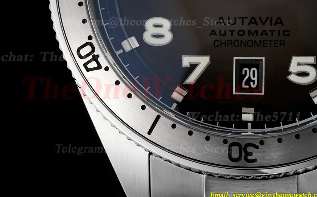 Autavia 42mm SS SS Gradient Grey TARF SW200