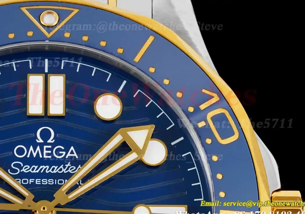 Seamaster Diver 42mm 300m YG SS Blue Dial VSF A8800