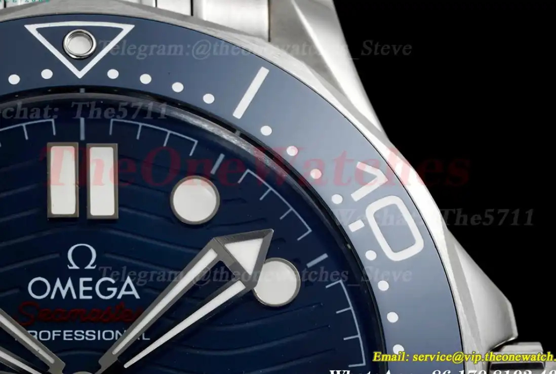 Seamaster 300m 2018 SS SS Blue ORF Asia 8800