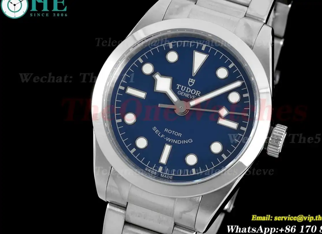 Heritage Black Bay 36mm SS SS Blue Dot KRF V4 A2824