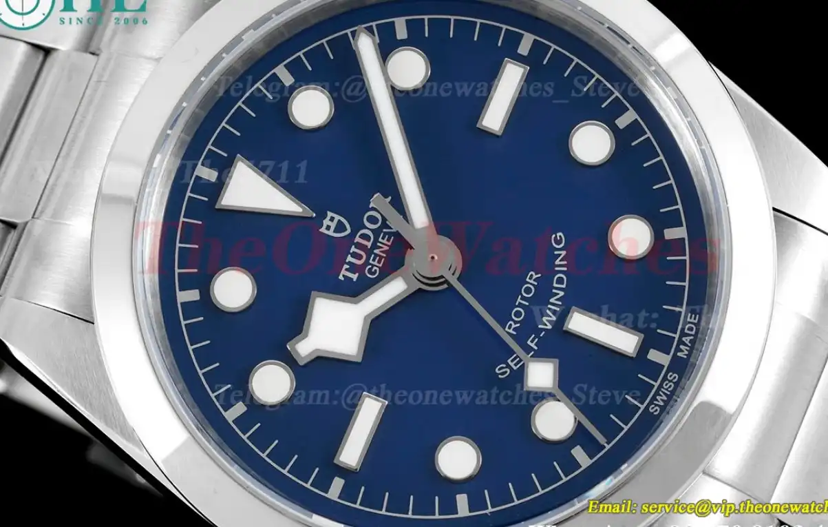 Heritage Black Bay 36mm SS SS Blue Dot KRF V4 A2824