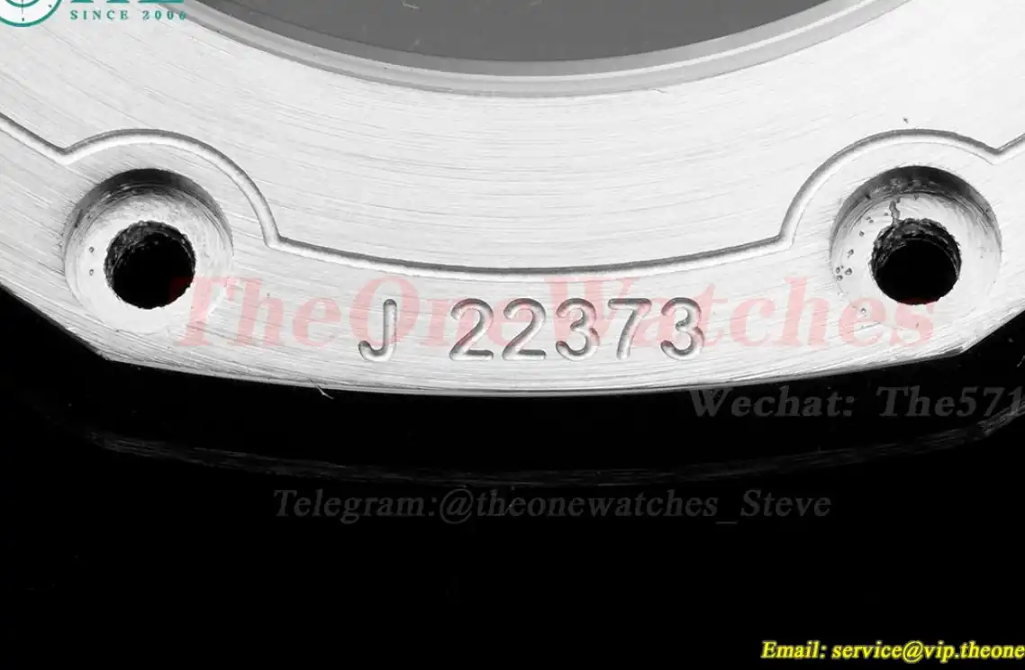 Royal Oak Offshore 42mm SS LE Grey Num RSF A3126 Mod