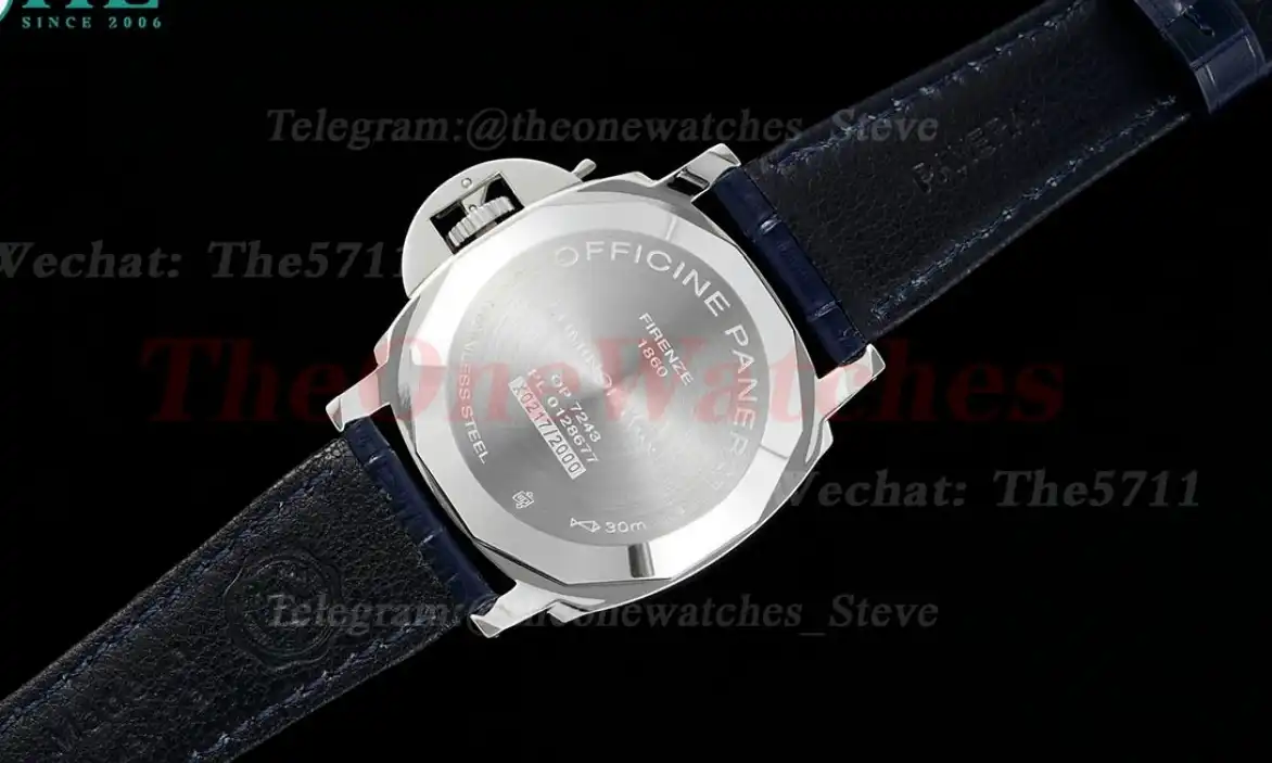 Luminor Due PAM1249 42mm SS LE Silver Dial VSF P900