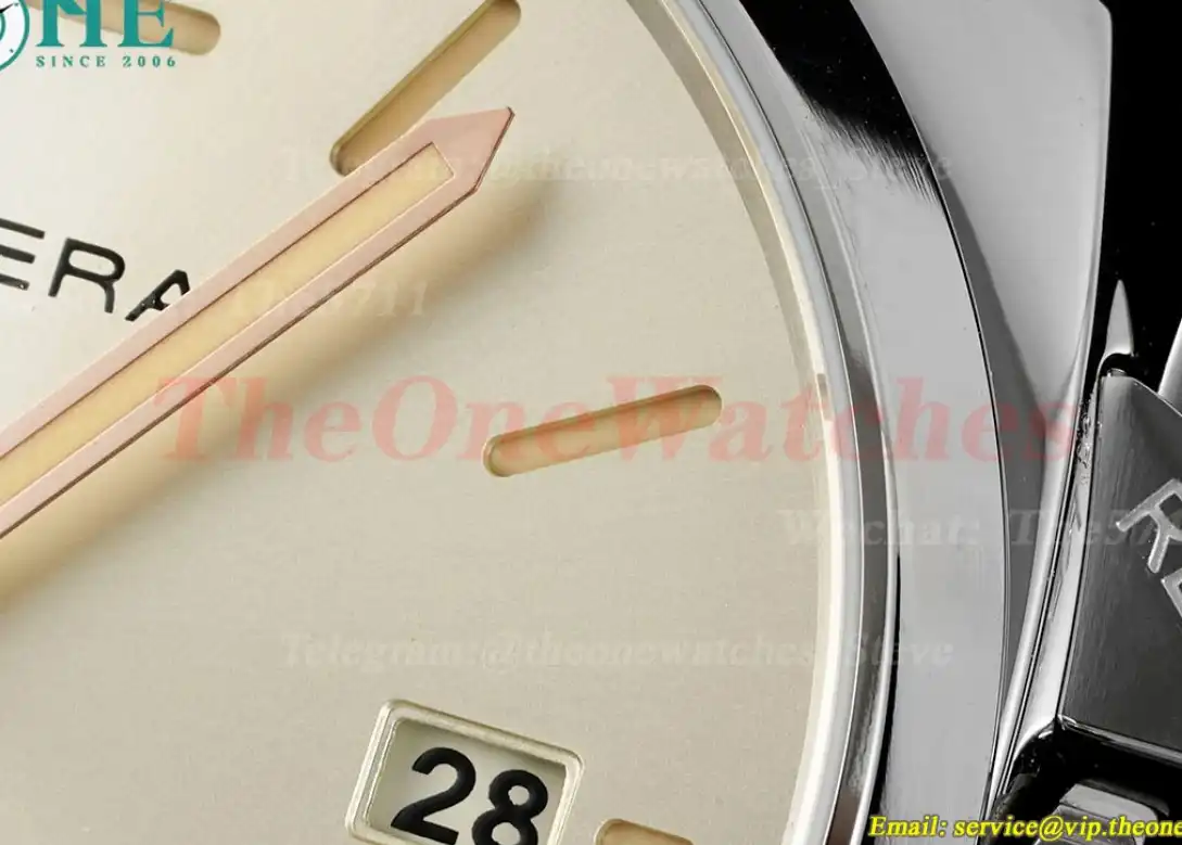 Luminor Due PAM1249 42mm SS LE Silver Dial VSF P900