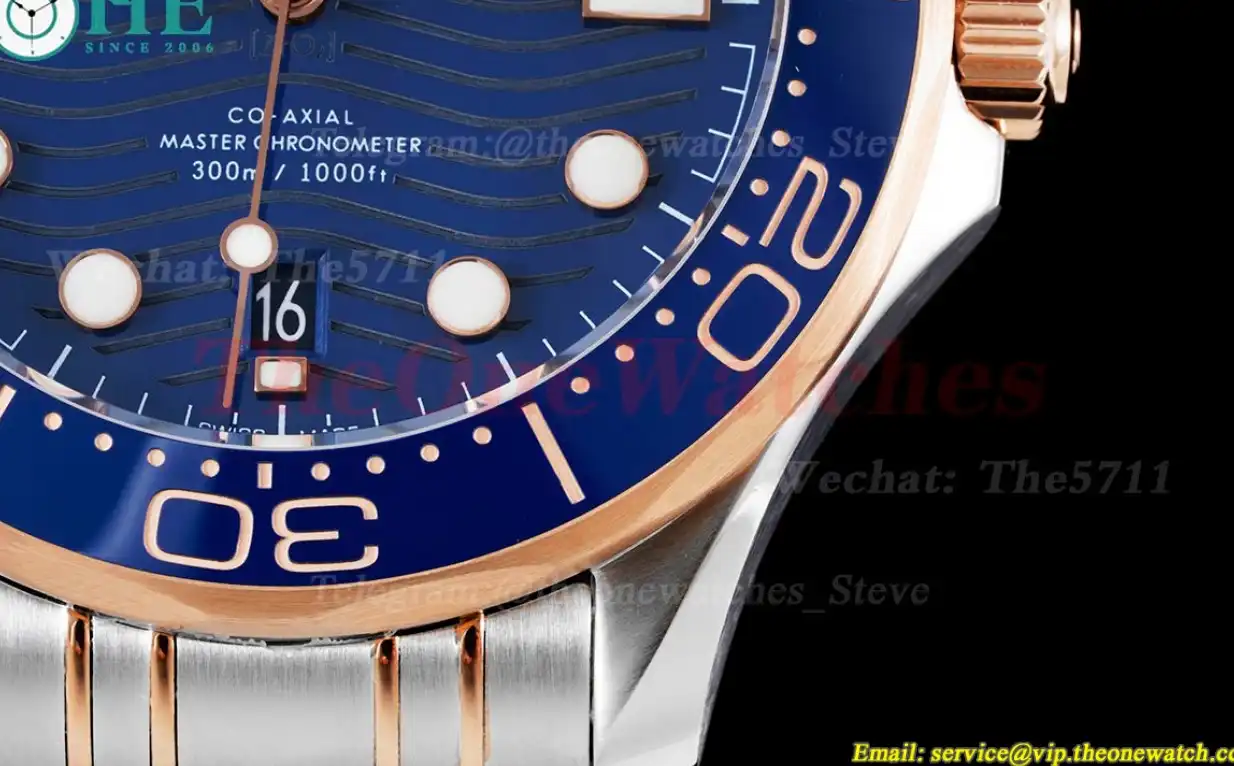 Seamaster 300m 42mm RG SS Blue Dial JVSF A8800