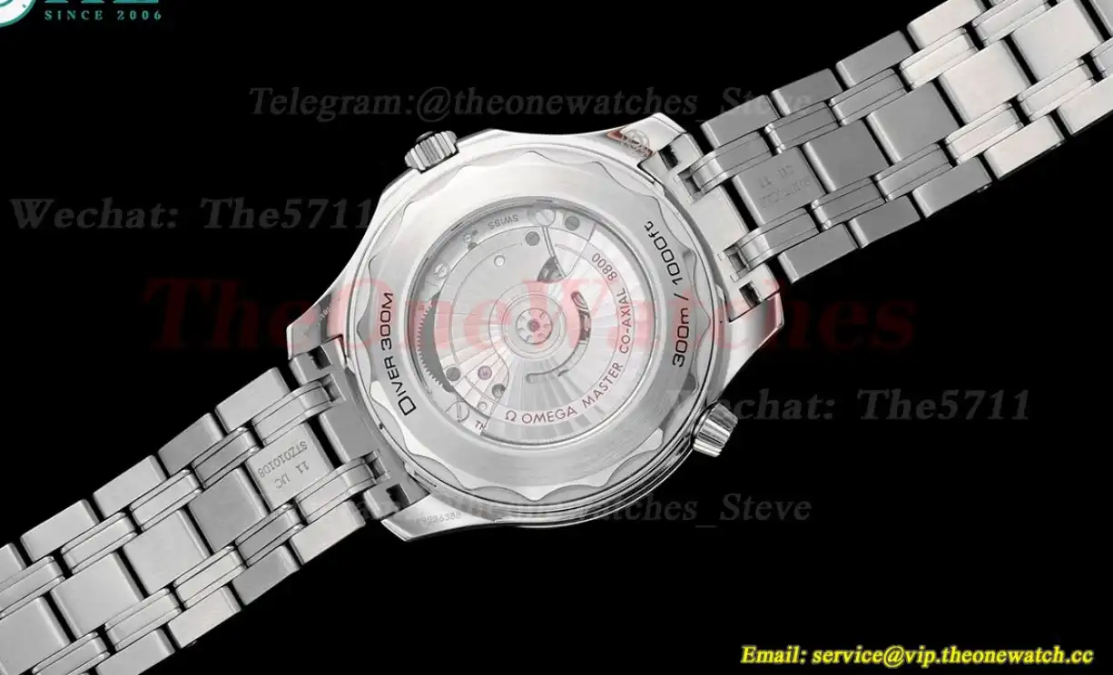 Seamaster 300m 42mm SS SS White Dial JVSF A8800