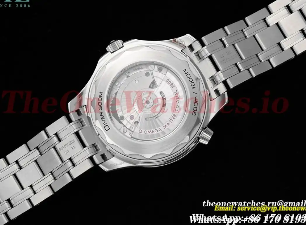 Seamaster 300m 42mm SS SS Grey Dial JVSF A8800