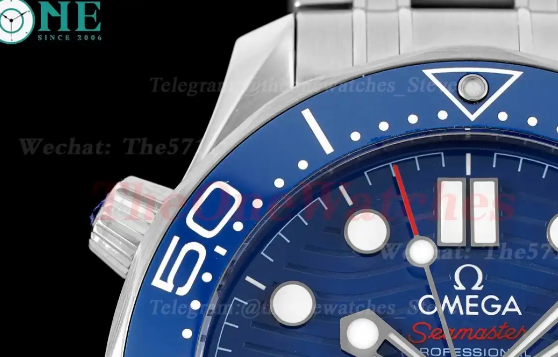 Seamaster 300m 42mm SS SS Blue Dial JVSF A8800