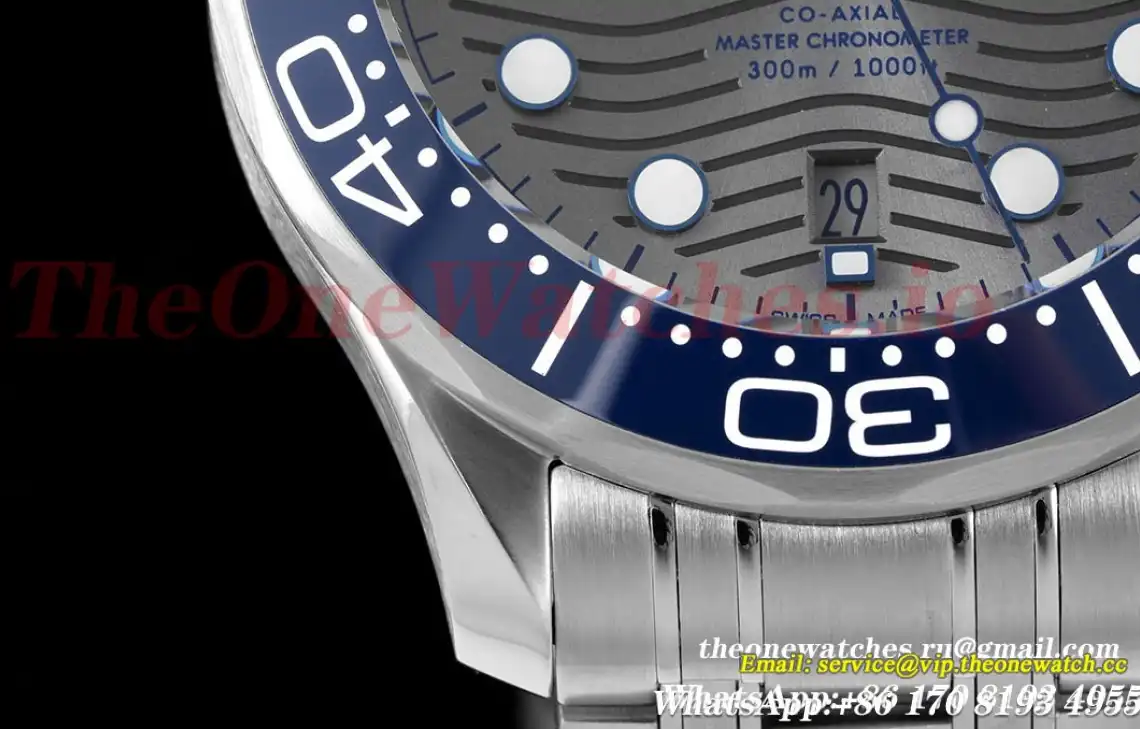 Seamaster 300m 42mm SS SS Grey Dial JVSF A8800