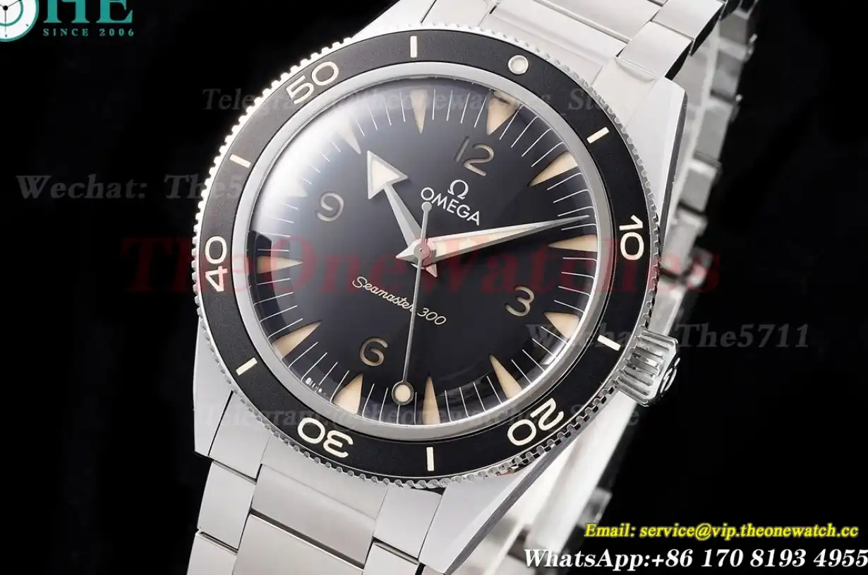 Seamaster 300m 41mm No Date SS SS Black Dial VSF A8912